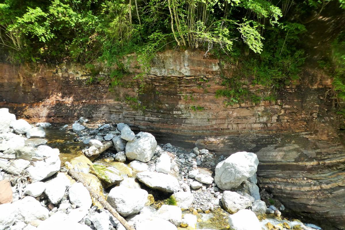 Werfen Formation, Campil Member along the stream Bordina (photo DG)