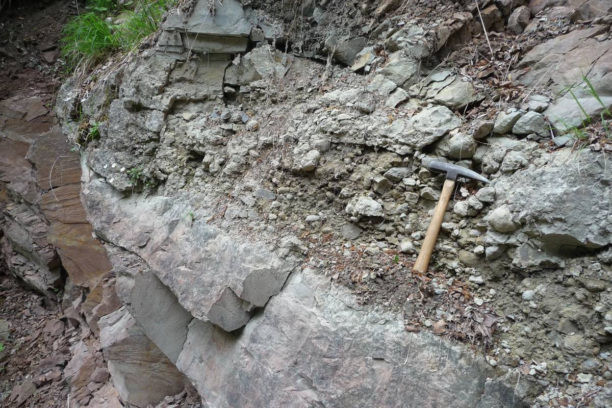 Livello conglomeratico appartenente alla Formazione del Conglomerato di Voltago (foto D.G.).