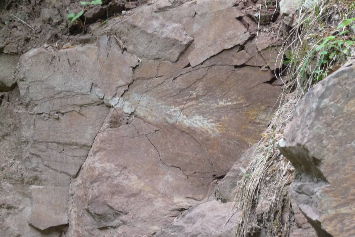 “Feathered” structure that crosses a sandstone layer of the Voltago Conglomerate. This is a typical tectoglyph, a tectonic indicator, showing the direction in which the energy released by the fault propagates (in this case from left to right) along the lateral fractures that develop during the activation of the fault itself (photo DG).