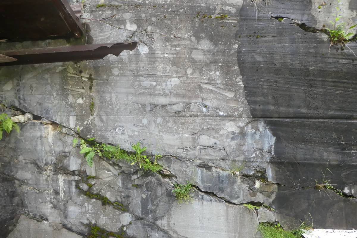 Particolare della parete in cui si riconosce la struttura delle roccie (Formazione di Moena) composta da brandelli tabulari scuri (laminiti della Formazione di Moena) e frammenti più arrotondati chiari (Formazione del Contrin) immersi in una matrice scura ricca sostanze bituminose (foto D.G.).