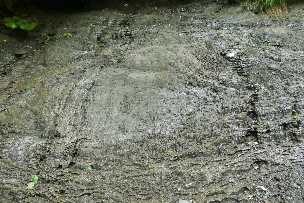 Pont: livelli limoso-sabbiosi deposti in un lago di contatto glaciale (foto D.G.).