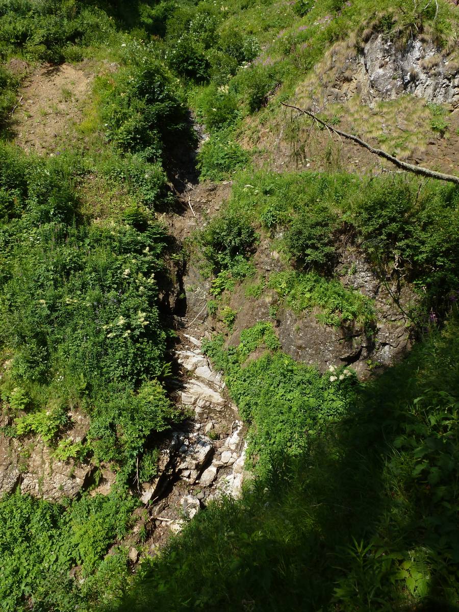 Figura A. Contatto fra la Formazione di Livinallongo, chiara e fittamente stratificata in basso e il filone strato di andesite di colore verde scuro e bruniccio (foto D.G.).