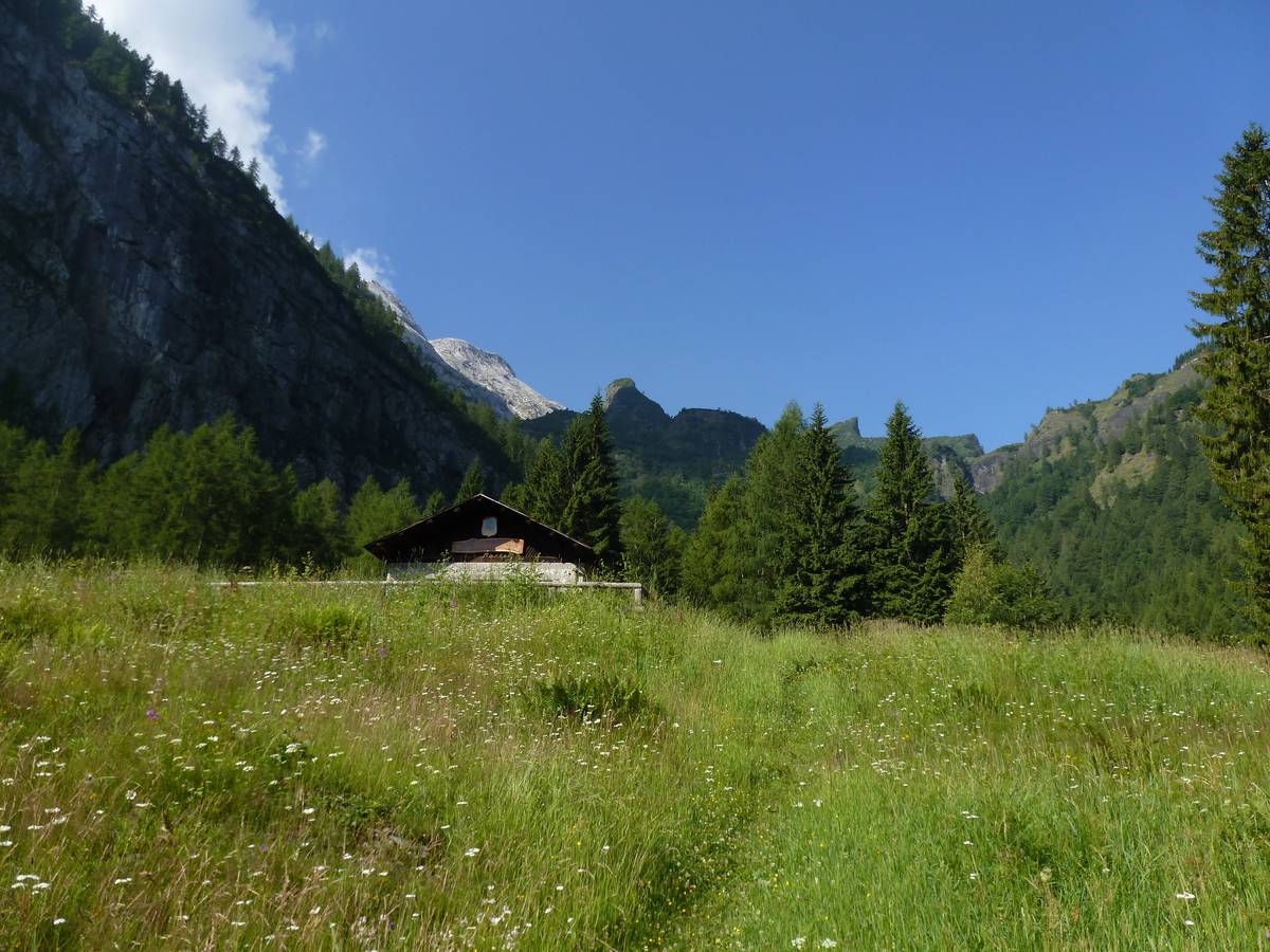 Casera Pian della Stua con dietro la scarpata di scogliera delle Pale e il Sass Negher (foto D.G.).