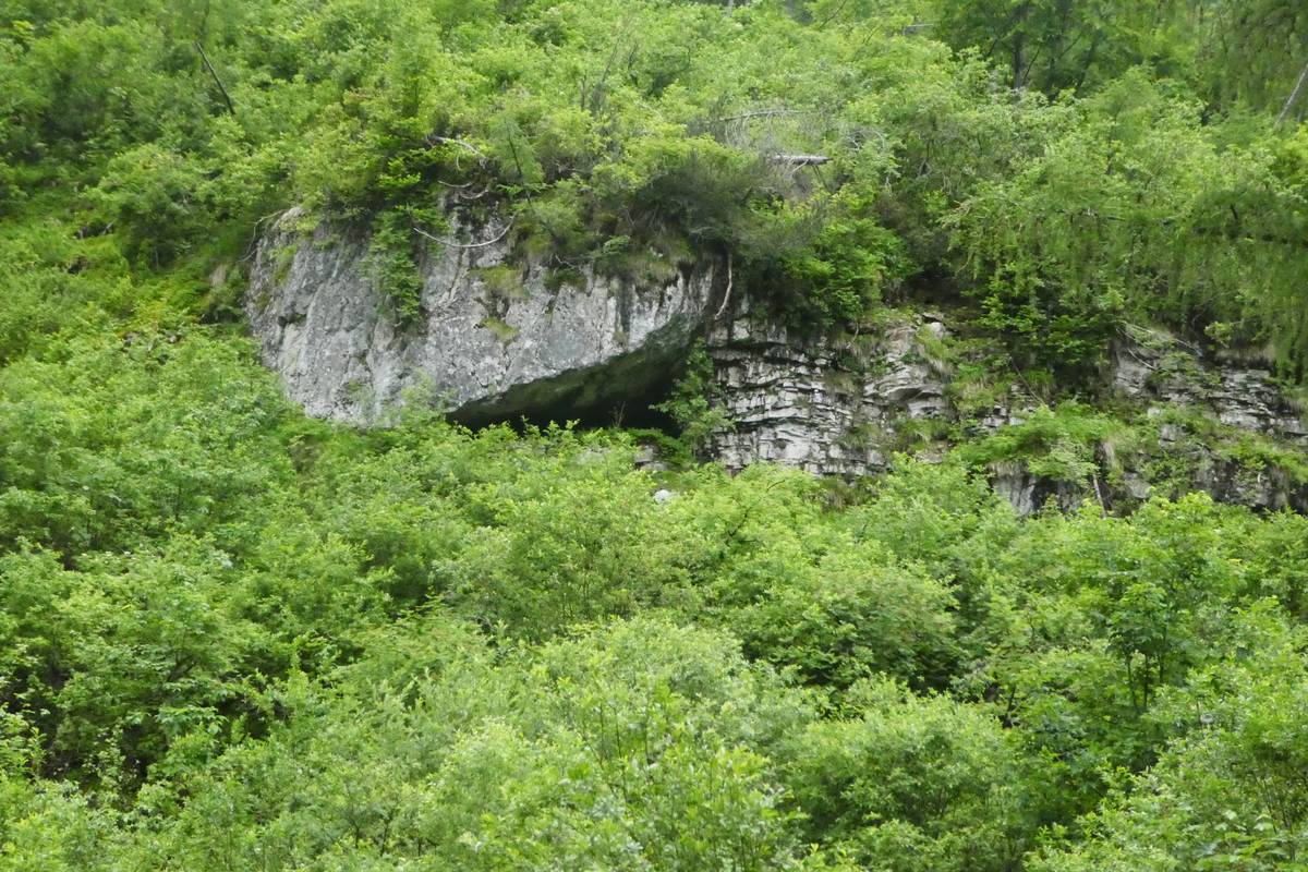 Contact between a slab of the Schlern Formation set on the thin layers of the Livinallongo Formation (photo DG). 