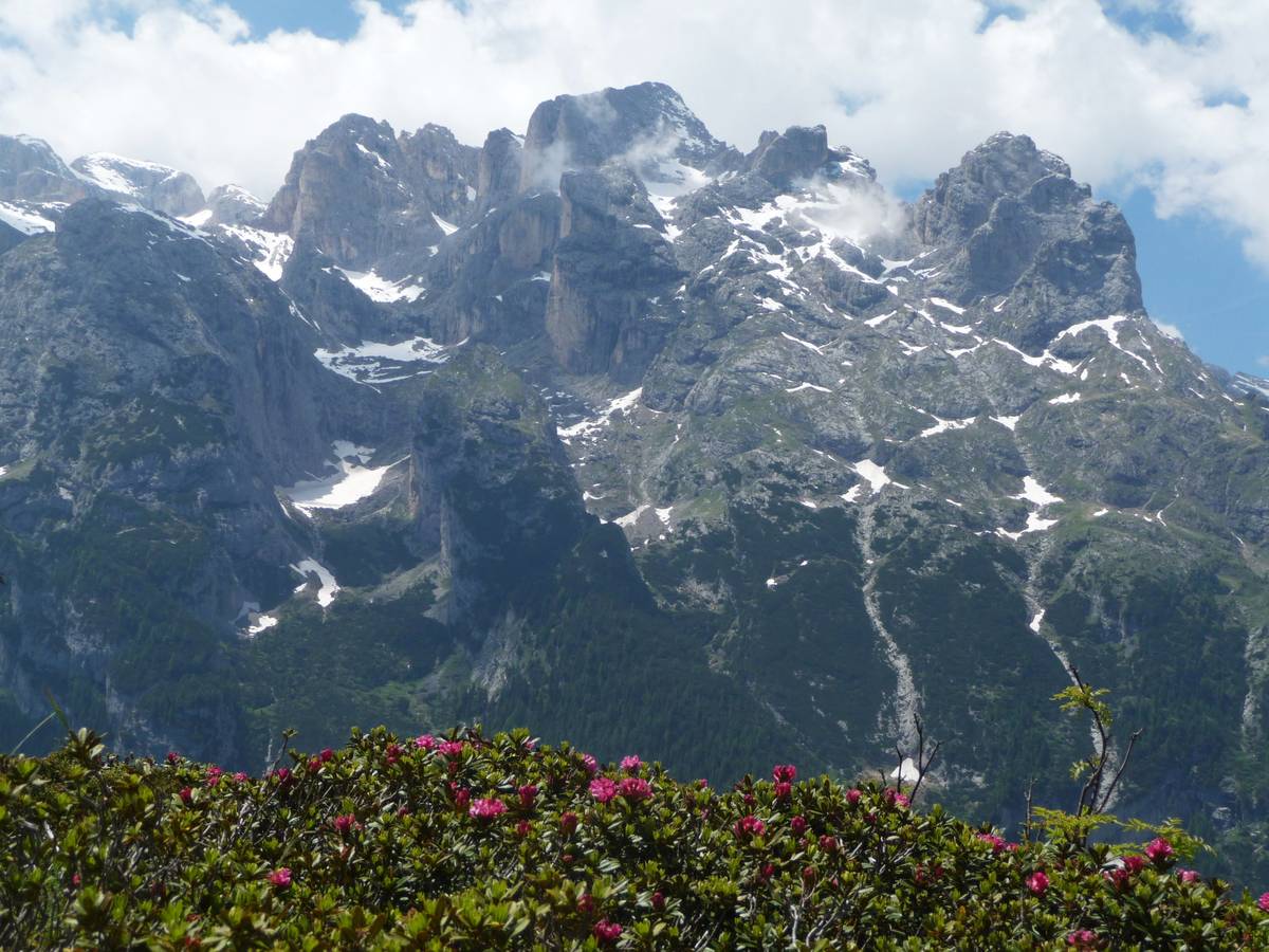 Panoramica verso il gruppo del Focobon, da sinistra in fondo i Bureloni e la Cima di Valgrande poi l’articolata Cima di Focobon, la più compatta cima di Campido, le Torri della 64a Compagnia (appena visibili), la Cima Zopel e la cima Lastei. A sinistra più in avanti il Sasso Tedesco separato dalla Val di Col dal costone isolato di Drioparei (Cima delle Scalette) In Val di Col si distinguono tre circhi glaciali sospesi sovrapposti.