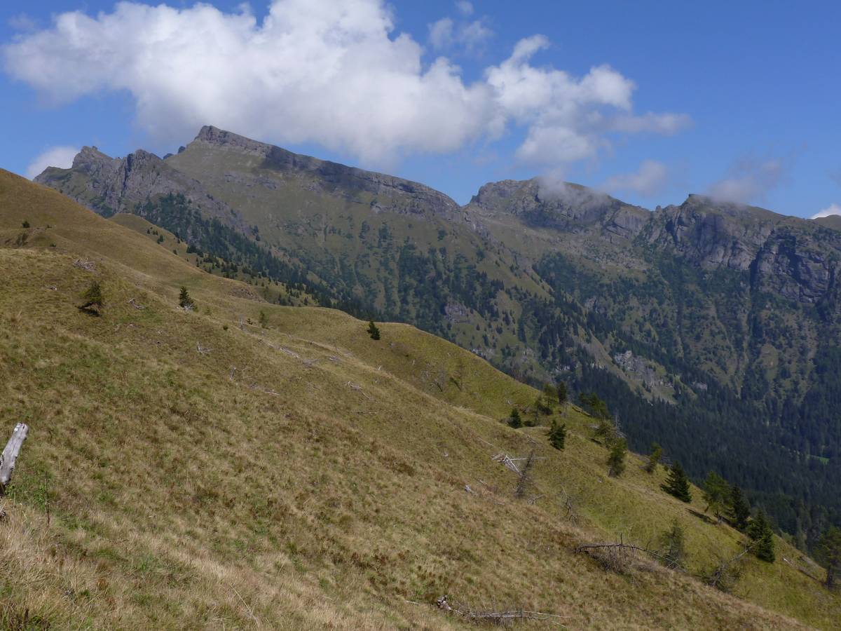 Verso il gruppo di Cima Pape con il rilievo monoclinale (cuesta) dei Lastei di Pape, si tratta di una classica forma derivante da un processo di morfoselezione in cui un robusto pacco di strati (Conglomerato della Marmolada) protegge quelli più erodibili (Formazione del Monte Fernazza) sottostanti (foto D.G.).