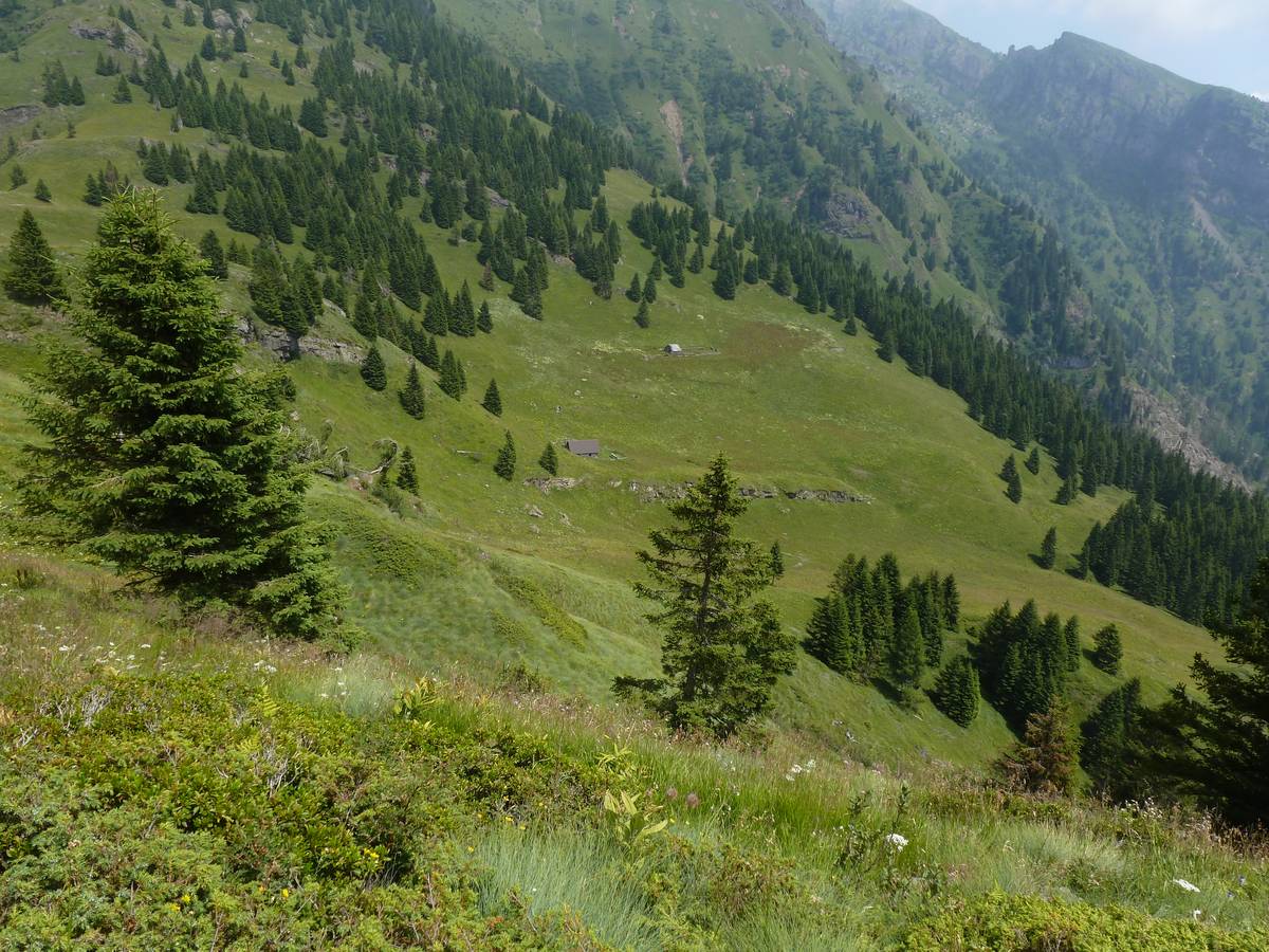 A view from the path towards mountain pass Caoz and onte. Caoz (Monte Fernazza Formation), Lastei di Pape and Casera ai Doff (photo DG). 