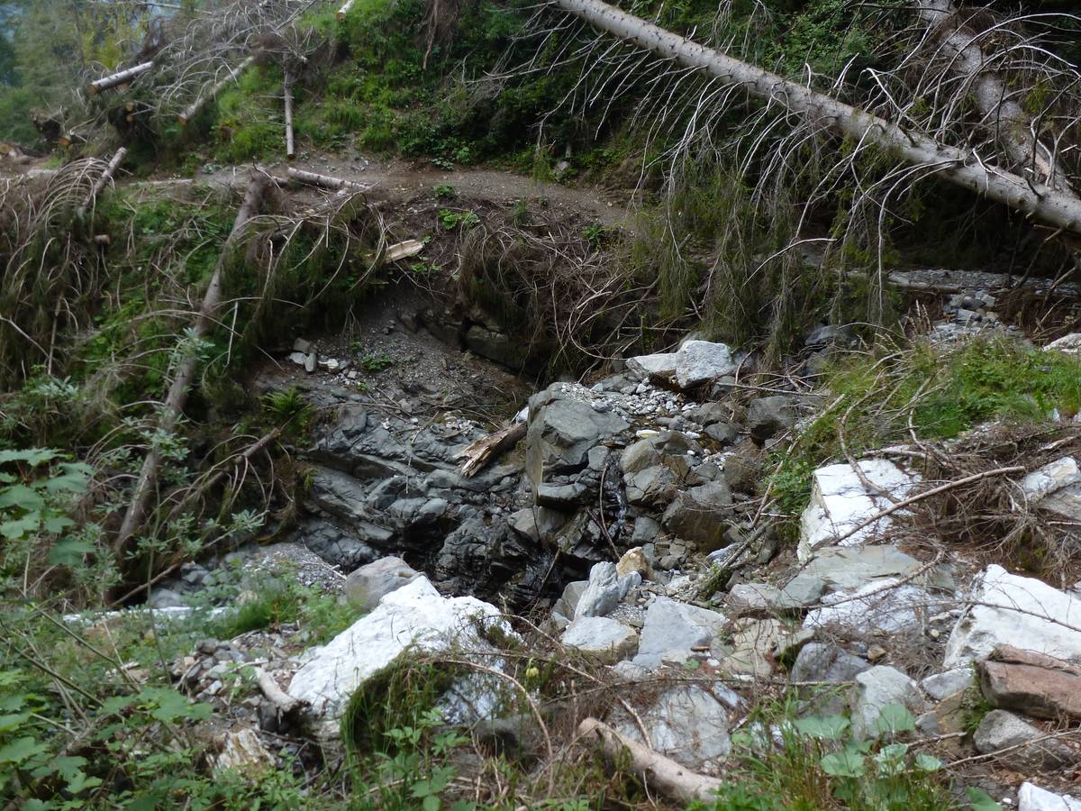 Val Grande, outcrop of pyroxenites, dark-colored ultra-basic intrusive rocks (photo DG