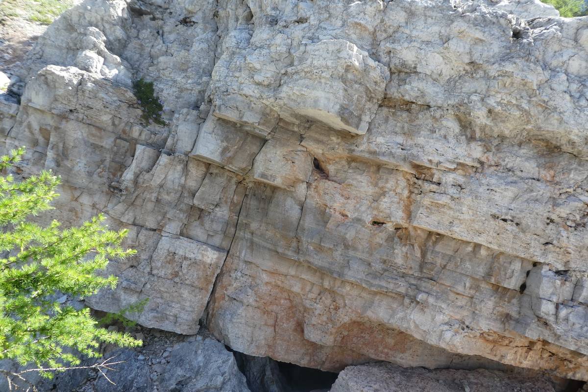 Alla base del masso a megalodonti la Dolomia Principale presenta classici livelli stromatolitici