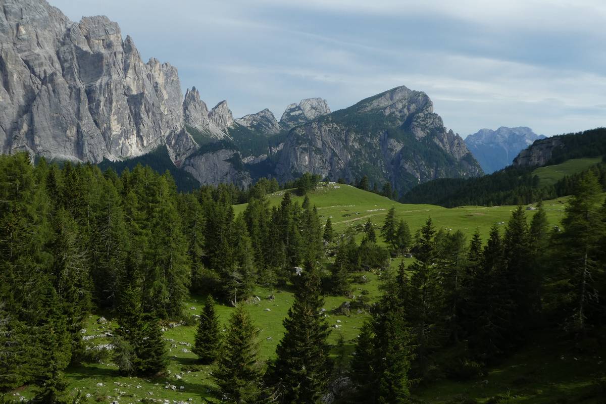 Panorama verso i Cantoni del Framont in primo piano il Col del Camp (foto D.G.). 