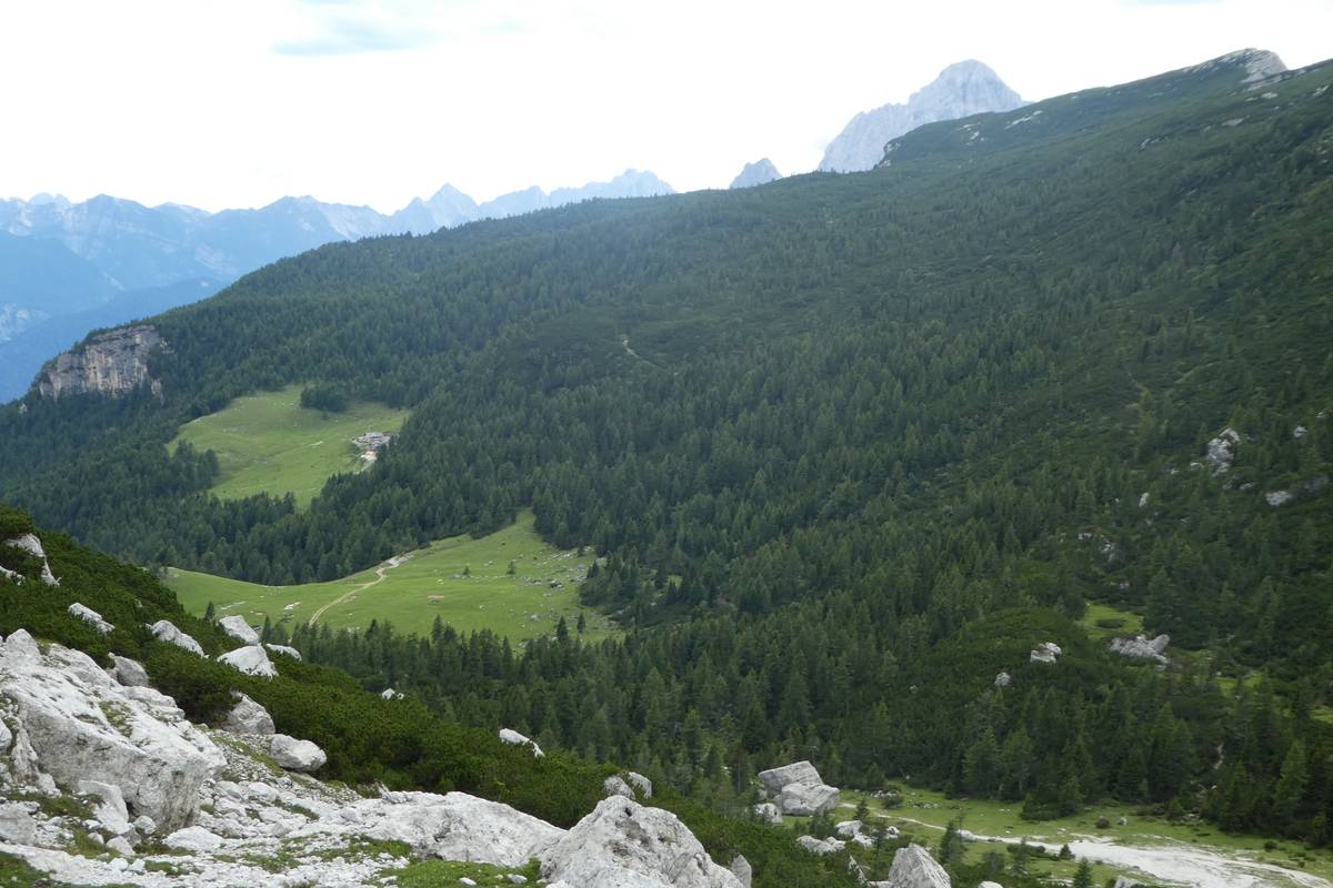 Malga Pelsa alla base del versante del M. Alto di Pelsa (foto D.G.).