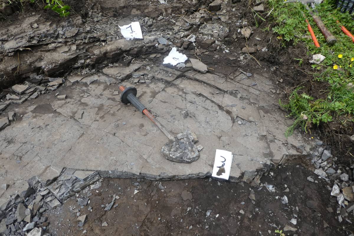 Strati di calcari bituminosi del Ladinico superiore del Monte Pelsa nei quali è stato raccolto un celacantide e una ammonite delle specie Protrachyceras archelaus (sasso arrotondato accanto al numero 3), (foto D.G.).