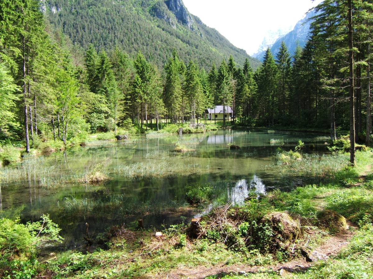 Il laghetto delle Peschiere (prima della tempesta Vaia)