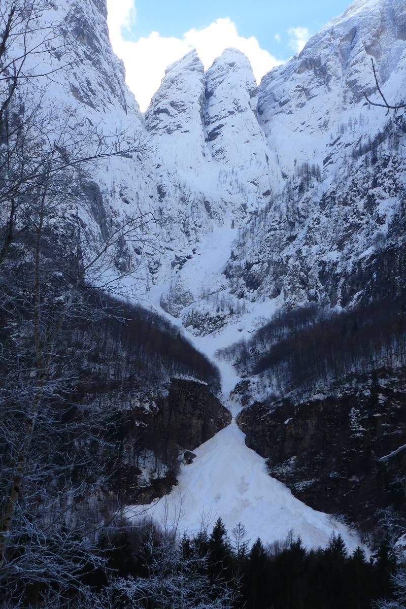 Il Livinàl dell’Acqua (quota apice del cono m 900 circa) nel febbraio del 2014 (anno particolarmente nevoso), lo spessore della neve nel cono di valanga è stato stimato attorno ai 50 metri, parte della neve si conservò fino all’inverno successivo. In alto si individuano le due caratteristiche torri denominate Denti di Satanasso (foto D.G.).