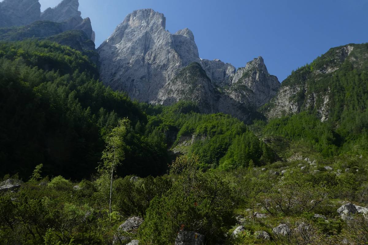 Lo Spigolo Nord dell’Agnèr (Formazione dello Sciliar) e alla base lo zoccolo parzialmente ricoperto di vegetazione (Formazione del Contrin); in primo piano al centro dell’immagine il passaggio fra Dolomia del Serla e Formazione di Agordo, in primissimo piano il macereto di frana su cui si snoda il sentiero (foto D.G.). 