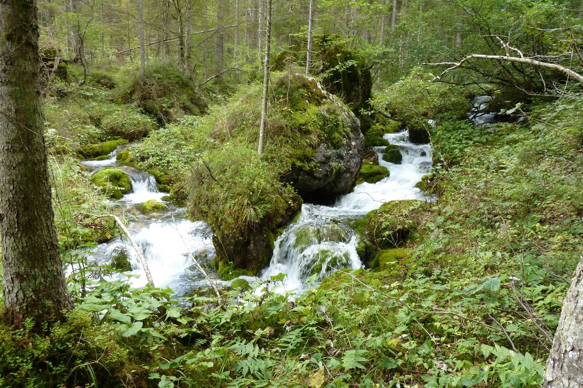 Sorgenti del Tegnàs a valle di Casera Angheràz (foto D.G.).