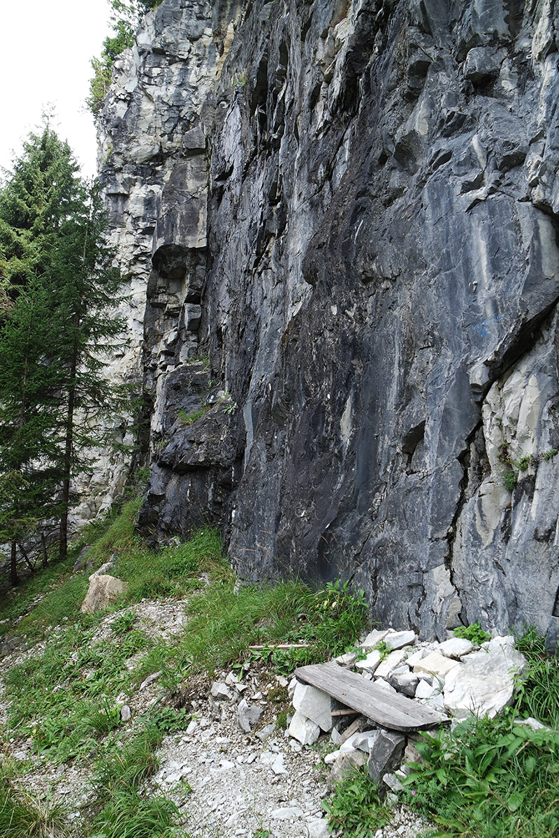 Blick auf das Dolomitgestein im ehemaligen Steinbruch bei Wattenberg