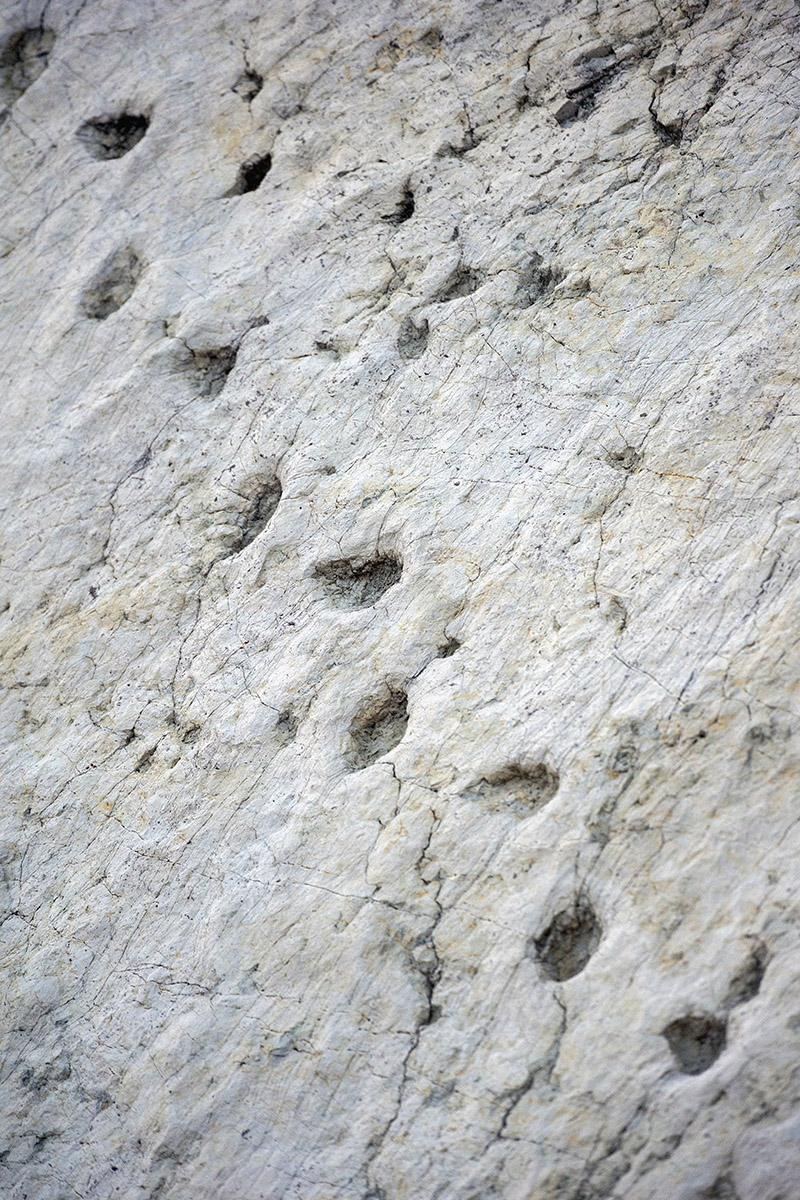 The dinosaur footprints (photo by Giacomo De Donà)